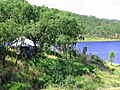 Shelter shed overlooking the lake