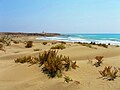 Limassol Beach