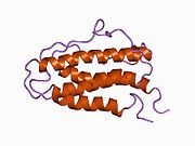 1buy: HUMAN ERYTHROPOIETIN, NMR MINIMIZED AVERAGE STRUCTURE