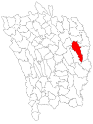 Location in Vaslui County