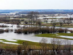 Narew River in the village during spring