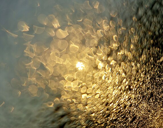 图为在玻璃上被太阳照亮的露水。