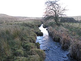 The infant River Wansbeck as a stream