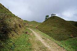 南山牧场