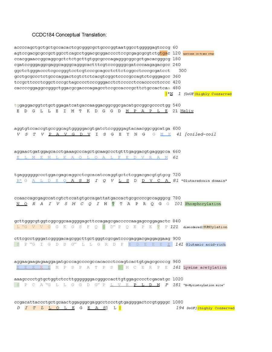 Annotated Conceptual translation for human CCDC184 protein.