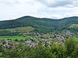 A general view of Griesbach-au-Val