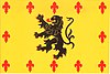 Flag of Holín