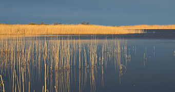 Osmussaar, Estonia