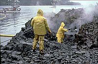 Exxon Valdez spilled 10.8 million US gallons (41,000 m3) of oil into Alaska's Prince William Sound.[119]