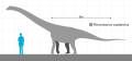 Rinconsaurus