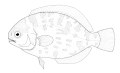 於 2006年6月25日 (日) 18:18 版本的縮圖