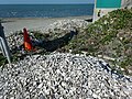 台湾新竹市海山渔港内丢弃的蚵壳。