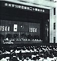 1964年 庆祝罗马尼亚解放二十周年大会