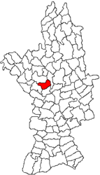 Location in Olt County