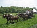 Frolic Weymouth driving his coach at the head of Winterthur’s Point-to-Point carriage parade.