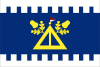 Flag of Šarovy
