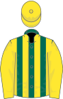 Dark green and yellow stripes, yellow sleeves and cap