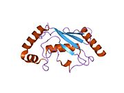 2esk: Human Ubiquitin-Conjugating Enzyme (E2) UbcH5b, wild-type