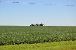 Fields on Illinois Routes 116/117