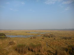Marshes of Dudhwa National Park