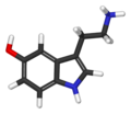 Serotonin