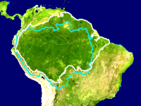 亚马逊生物群系（英语：Amazon rainforest ecoregions）范围图，其中白色区域由世界自然基金会划定，蓝色是亚马逊河流域。