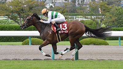 2018年冠軍「輕柔流暢」