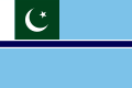 巴基斯坦民航旗