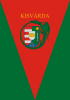 Flag of Kisvárda