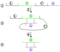 Insulin synthesis chart