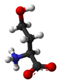 Ball-and-stick model of the zwitterion