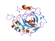 2nwy: Structural and kinetic effects of hydrophobic mutations on the active site of human carbonic anhydrase II