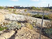 The dried up section of the Salt River where the abandoned remains of the head gate of the Joint Head Dam is located. This is where Jack Swilling first turned a shovel and established the head of "Swillings Ditch".