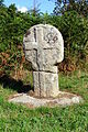 Fig. d19: Boswarthen cross