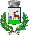 切尔瓦斯卡徽章