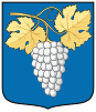 Coat of arms of Szin