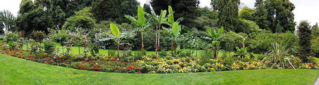 Mainau