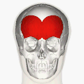 额肌的部分(显示为红色)