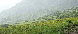 kolur, Kermanshah village