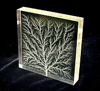 樹狀：利希滕貝格圖案（Lichtenberg figure）：亞克力塊中的高壓電擊穿現象