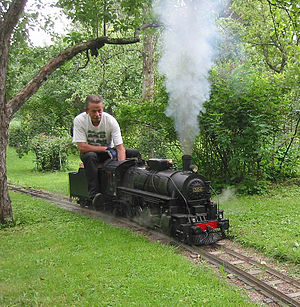 A 7.25 inch gauge live steam locomotive