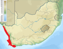 Map of South Africa, with shading indicating the species occurs in the western part of the country near the Pacific ocean