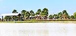 The view of Oasis in palai park from the other end of pond