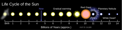 The life cycle for a sun-like star