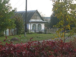 Novoselivka Druha in 2008