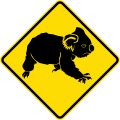 (W5-47) Koalas Crossing