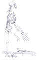 Ardiphitecus —complete skeleton