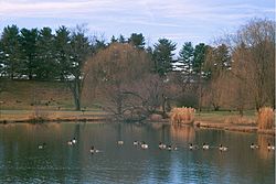Cemetery grounds and pond