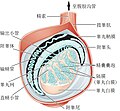 2024年1月5日 (五) 16:52版本的缩略图