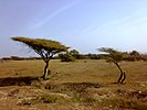 The countryside of Fujairah